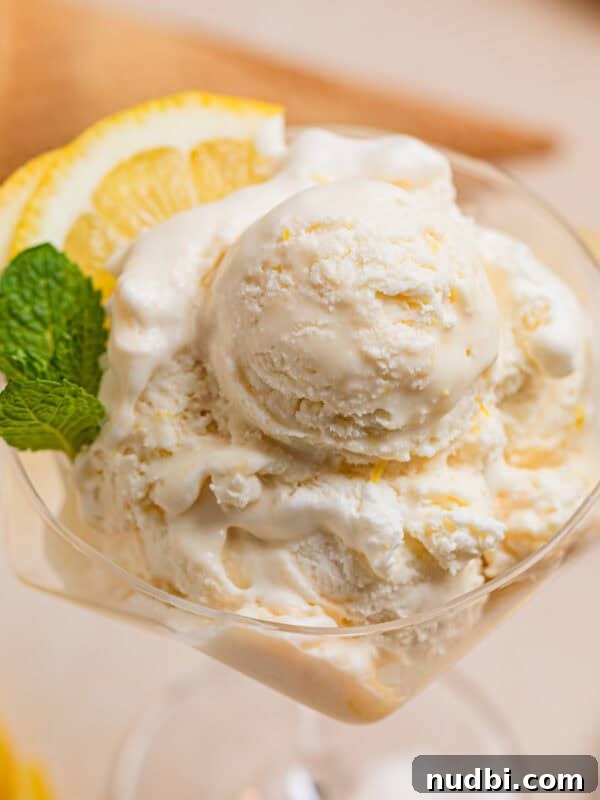 Lemonade Ice Cream Sandwiches Recipe — Refreshing Summer Treat 9 Scooped lemon ice cream in stemware with two lemon quarters and fresh mint leaves.